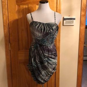 type Z silky dress ordered from Zappos